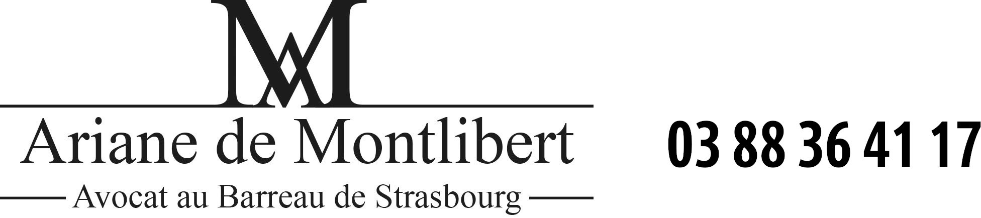 Avocat à Strasbourg - Maître de Montlibert
